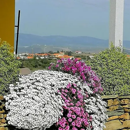A Flor Da Rosa Hotel 4*