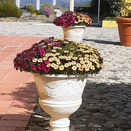 Hotel A Flor Da Rosa 4*